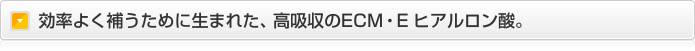 効率よく補うために生まれた、高吸収のECM・E ヒアルロン酸。