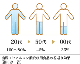 出展：ヒアルロン酸吸収用食品の若返り効果（細川淳一著）