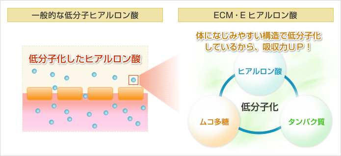 低分子だけではない！ヒアルロン酸を超えた、特別なヒアルロン酸。