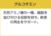 グルコサミン　天然アミノ糖の一種。細胞を結び付ける役割を持ち、軟骨の再生をサポート。