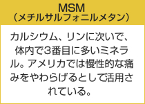 MSM（メチルサルフォニルメタン）カルシウム、リンに次いで、体内で3番目に多いミネラル。アメリカでは慢性的な痛みをやわらげるとして活用されている。