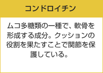 コンドロイチン　ムコ多糖類の一種で、軟骨を形成する成分。クッションの役割を果たすことで関節を保護している。