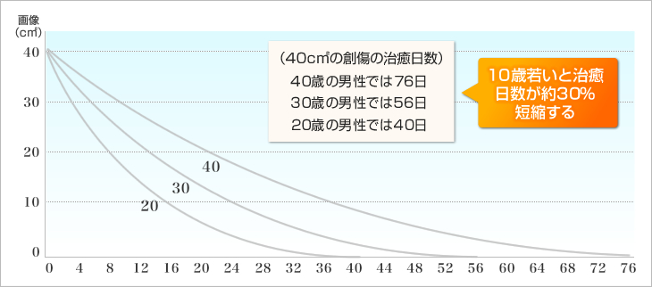 ヒトにおける創傷治癒の年齢別比較（田内久：細胞の老化、共立出版、1981より）